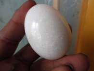 ג'ספר לבן ביצה ומעמד עץ משקל: 85 גרם