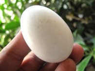 ג'ספר לבן ביצה ומעמד עץ משקל: 90 גרם