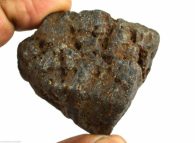 אבן חן: ספיר סטאר שחור גלם (אפריקה) 595 קרט