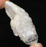 אלסטייל הימלייה גלם במשקל: 24 גרם